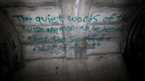 Up The Trash Panda Hole.... - IMG_8231.JPG