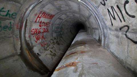 Up The Trash Panda Hole.... - IMG_8233.JPG