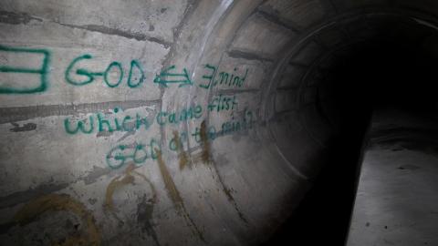 Up The Trash Panda Hole.... - IMG_8240.JPG