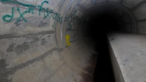 Up The Trash Panda Hole.... - IMG_8248.JPG