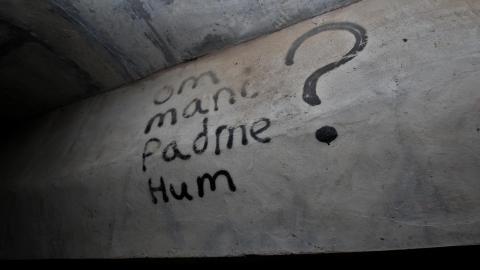 Up The Trash Panda Hole.... - IMG_8253.JPG