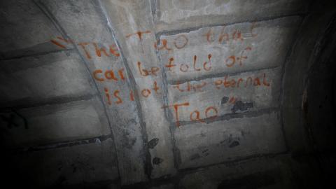 Up The Trash Panda Hole.... - IMG_8256.JPG