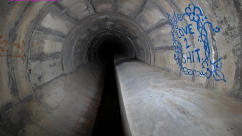 Up The Trash Panda Hole.... - IMG_8259.JPG