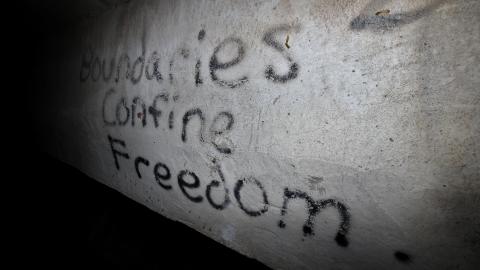 Up The Trash Panda Hole.... - IMG_8264.JPG