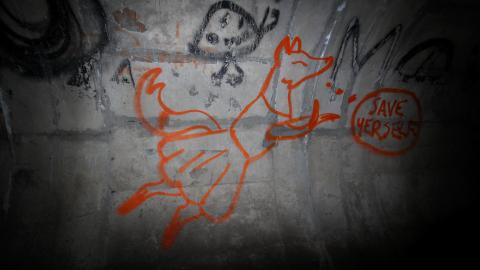 Up The Trash Panda Hole.... - IMG_8268.JPG