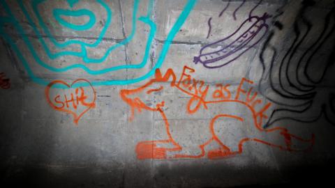 Up The Trash Panda Hole.... - IMG_8278.JPG