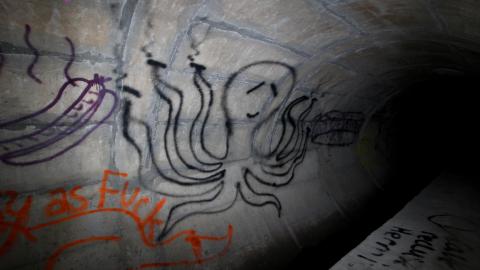 Up The Trash Panda Hole.... - IMG_8279.JPG