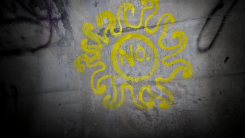 Up The Trash Panda Hole.... - IMG_8284.JPG