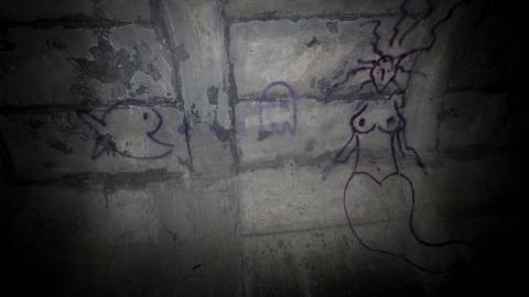 Up The Trash Panda Hole.... - IMG_8291.JPG