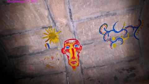 Up The Trash Panda Hole.... - IMG_8299.JPG