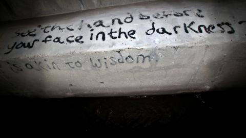 Up The Trash Panda Hole.... - IMG_8303.JPG