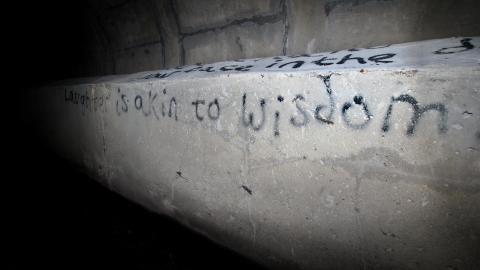 Up The Trash Panda Hole.... - IMG_8305.JPG