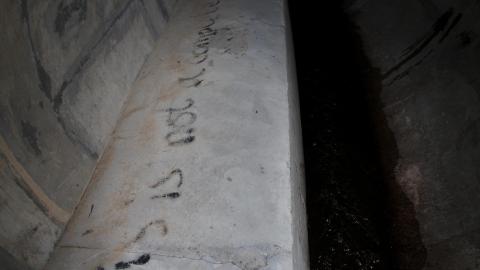 Up The Trash Panda Hole.... - IMG_8308.JPG