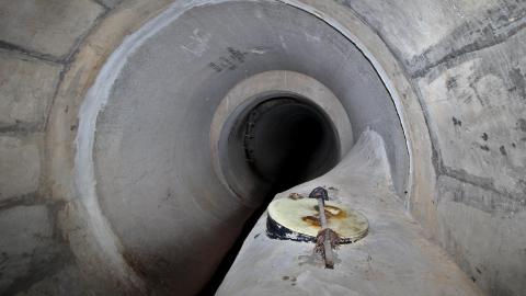 Up The Trash Panda Hole.... - IMG_8311.JPG