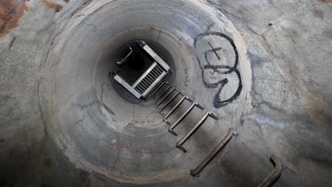 Up The Trash Panda Hole.... - IMG_8322.JPG