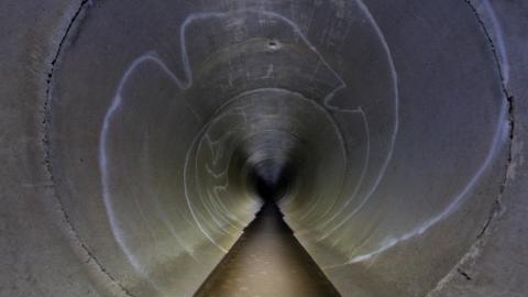 Up The Trash Panda Hole.... - IMG_8332.JPG