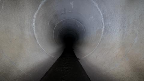 Up The Trash Panda Hole.... - IMG_8342.JPG