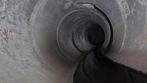 Up The Trash Panda Hole.... - IMG_8351.JPG