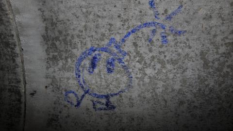 Up The Trash Panda Hole.... - IMG_8353.JPG