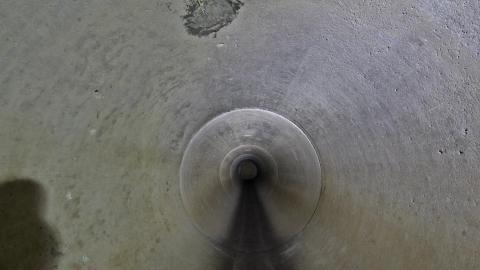 Up The Trash Panda Hole.... - IMG_8354.JPG