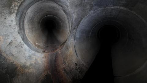 Up The Trash Panda Hole.... - IMG_8371.JPG