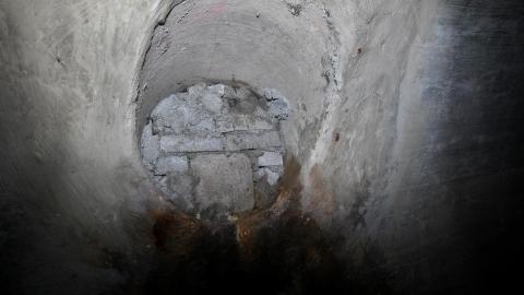 Up The Trash Panda Hole.... - IMG_8376.JPG