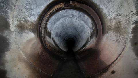 Up The Trash Panda Hole.... - IMG_8384.JPG