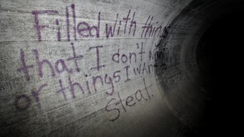 Up The Trash Panda Hole.... - IMG_8386.JPG