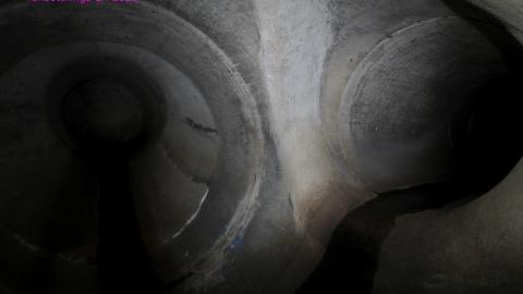 Up The Trash Panda Hole.... - IMG_8387.JPG