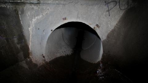 Up The Trash Panda Hole.... - IMG_8389.JPG