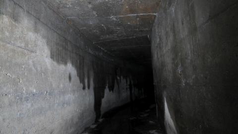 Up The Trash Panda Hole.... - IMG_8396.JPG