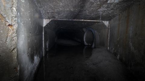 Up The Trash Panda Hole.... - IMG_8399.JPG