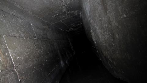 Up The Trash Panda Hole.... - IMG_8407.JPG