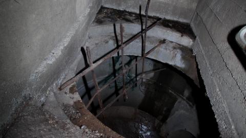 Up The Trash Panda Hole.... - IMG_8410.JPG