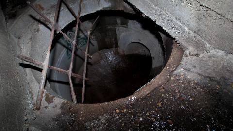 Up The Trash Panda Hole.... - IMG_8411.JPG