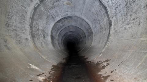 Up The Trash Panda Hole.... - IMG_8418.JPG