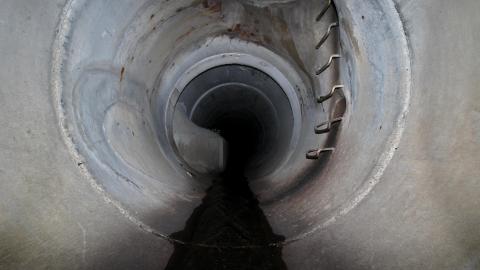 Up The Trash Panda Hole.... - IMG_8435.JPG