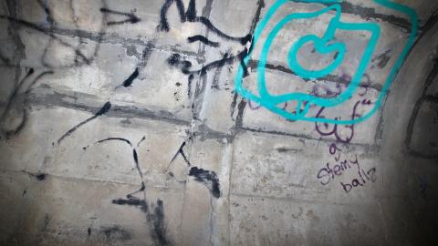 Up The Trash Panda Hole.... - IMG_8444.JPG