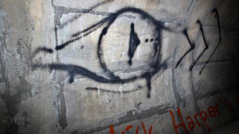 Up The Trash Panda Hole.... - IMG_8449.JPG