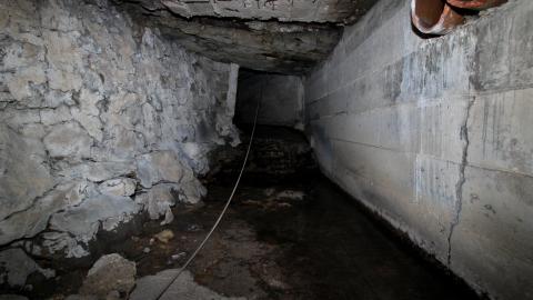 Up The Trash Panda Hole.... - IMG_8454.JPG