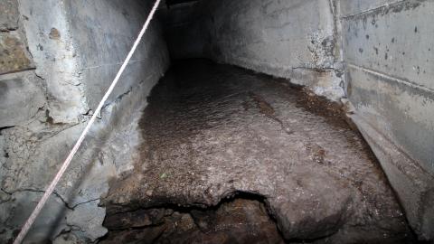 Up The Trash Panda Hole.... - IMG_8455.JPG