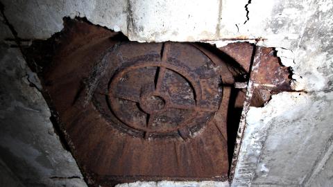 Up The Trash Panda Hole.... - IMG_8457.JPG