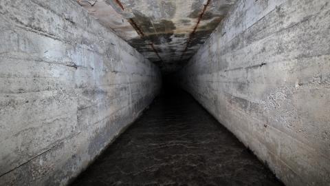 Up The Trash Panda Hole.... - IMG_8458.JPG