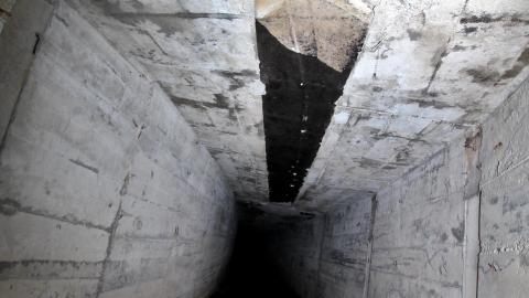 Up The Trash Panda Hole.... - IMG_8459.JPG