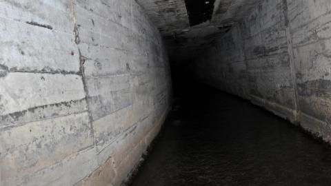 Up The Trash Panda Hole.... - IMG_8460.JPG