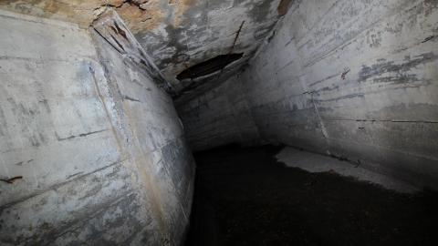 Up The Trash Panda Hole.... - IMG_8463.JPG