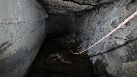 Up The Trash Panda Hole.... - IMG_8464.JPG