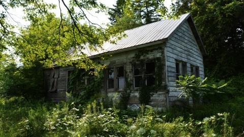 Remembering Mother Mary's - May 2014 - August 2014 - 1.jpg