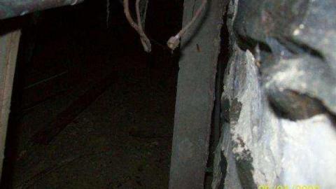 Gallery - Chelmsford-Red-House28.jpg