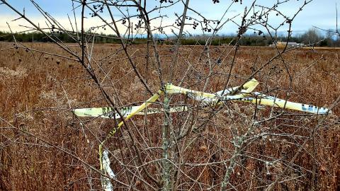 Sinkhole House - 20211120_113148.jpg